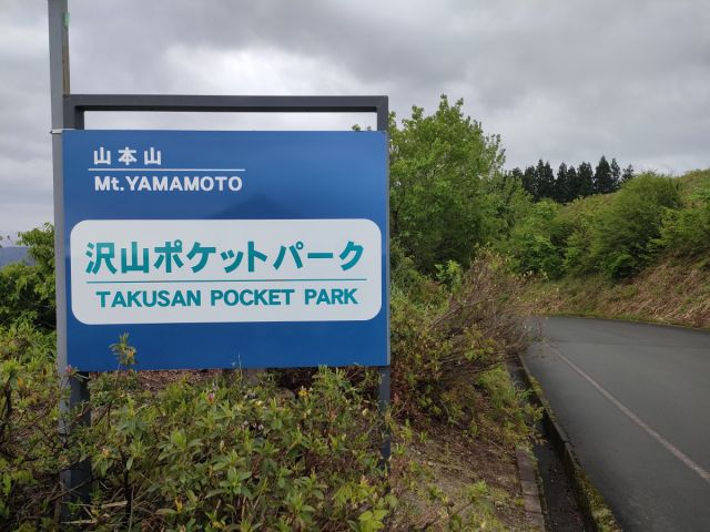 山本山菜の花畑／ひまわり畑