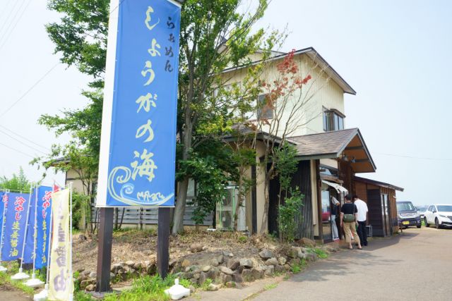 しょうがの海