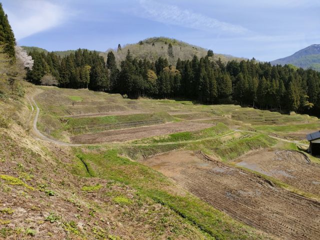 北五百川の棚田