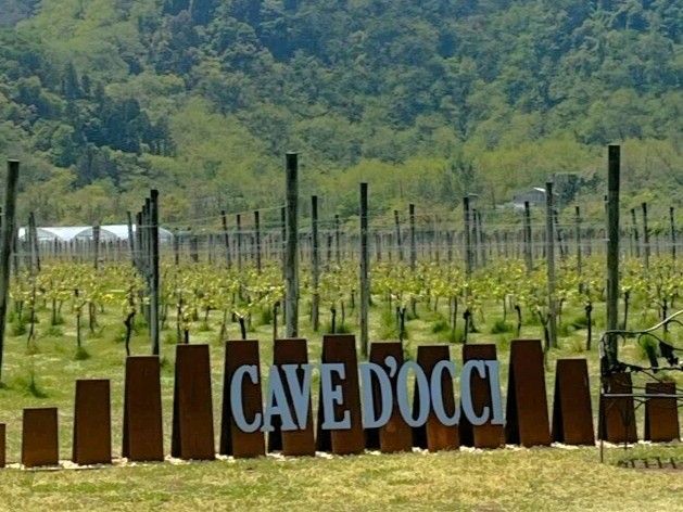 カーブドッチワイナリー