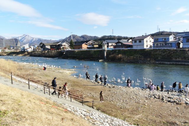 白鳥の郷公苑