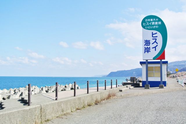 糸魚川翡翠原石 海岸採集して洗うと極薄ラベでした。 - その他