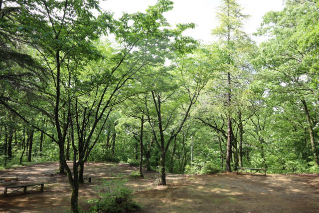 三条市グリーンスポーツセンター・大崎山公園