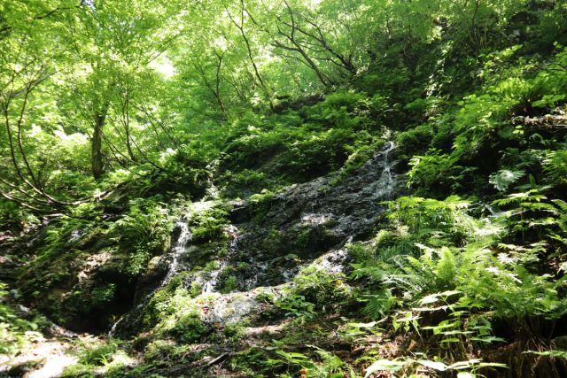 雷電様の水