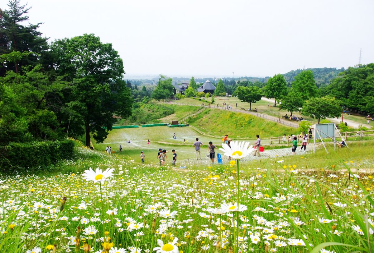 家族で1日過ごせちゃう「田上町総合公園YOU遊ランド」／田上町｜新潟県