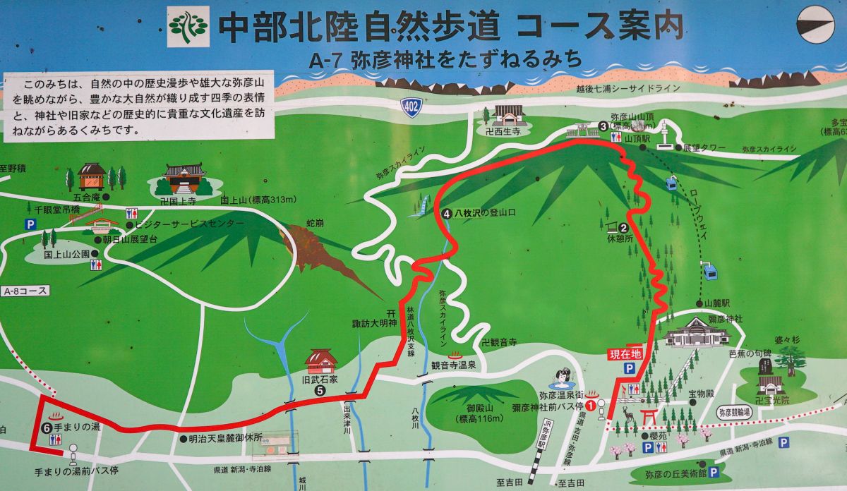 めくるめくサクラ色を訪ねて 弥彦山でみつける春の散策コース 前編 弥彦村 新潟県観光協会公式ブログ たびきち 公式 新潟県のおすすめ観光 旅行情報 にいがた観光ナビ