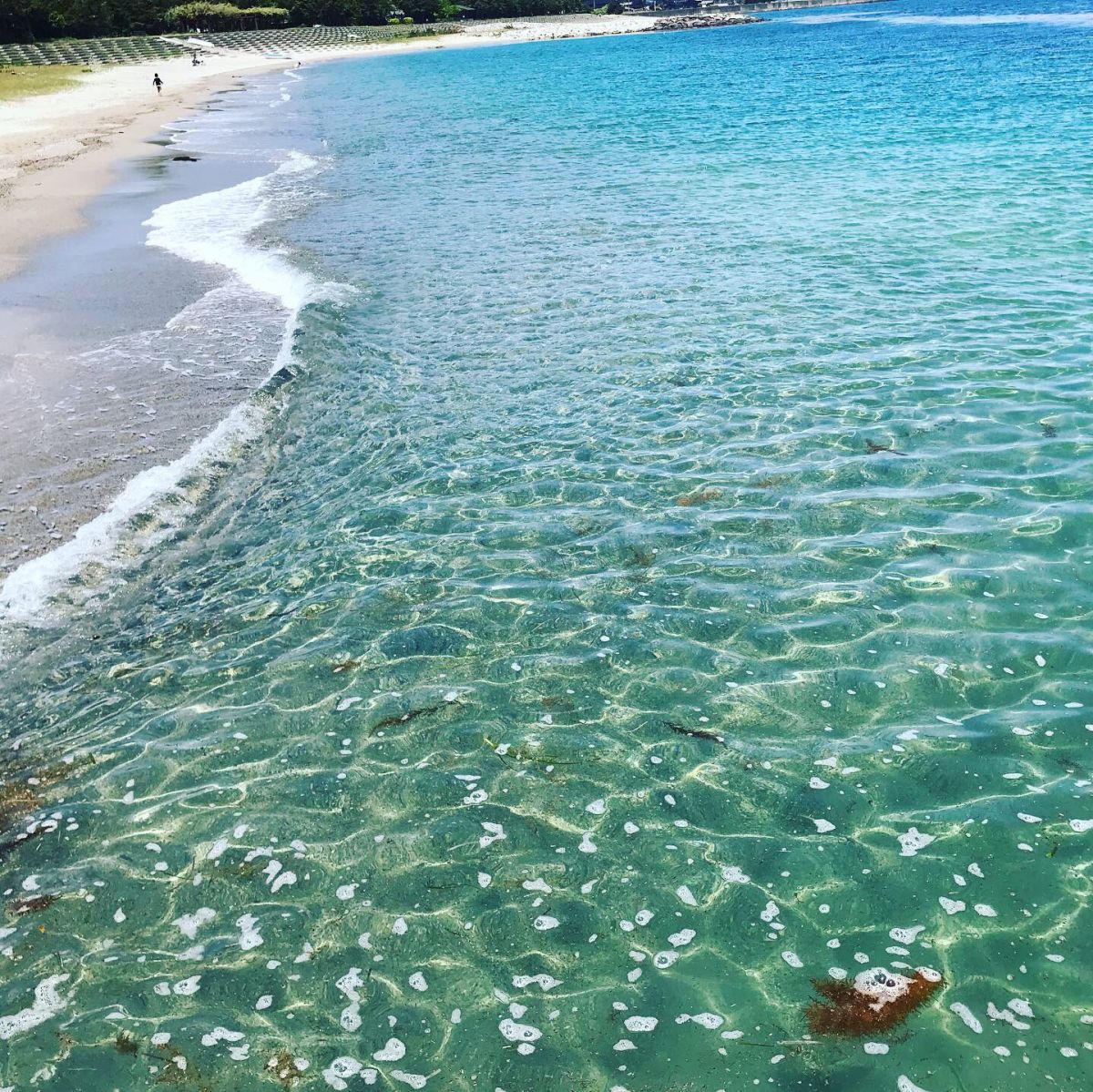 水がきれいな海水浴場ベスト25以内に佐渡のビーチが4つもランクイン 佐渡市 新潟県観光協会公式ブログ たびきち 公式 新潟県のおすすめ観光 旅行情報 にいがた観光ナビ