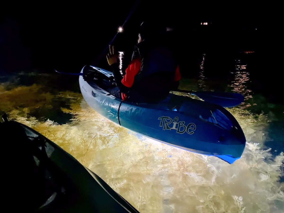 夏の佐渡で遊ぼう 夜編 達者の海でナイトシーカヤック Sup ドンデン高原でビストロディナー 夜景 プレミアムな一夜を 佐渡市 新潟県観光協会公式ブログ たびきち 公式 新潟県のおすすめ観光 旅行情報 にいがた観光ナビ