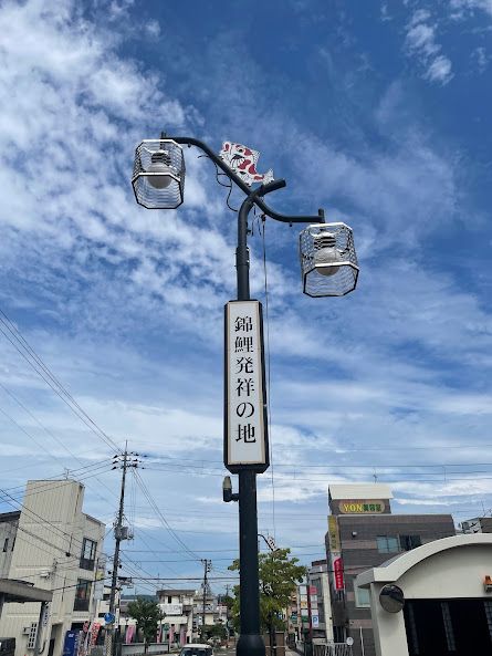 メーサイズ 小千谷市・長岡市/平成28年5月 地図、旅行ガイド