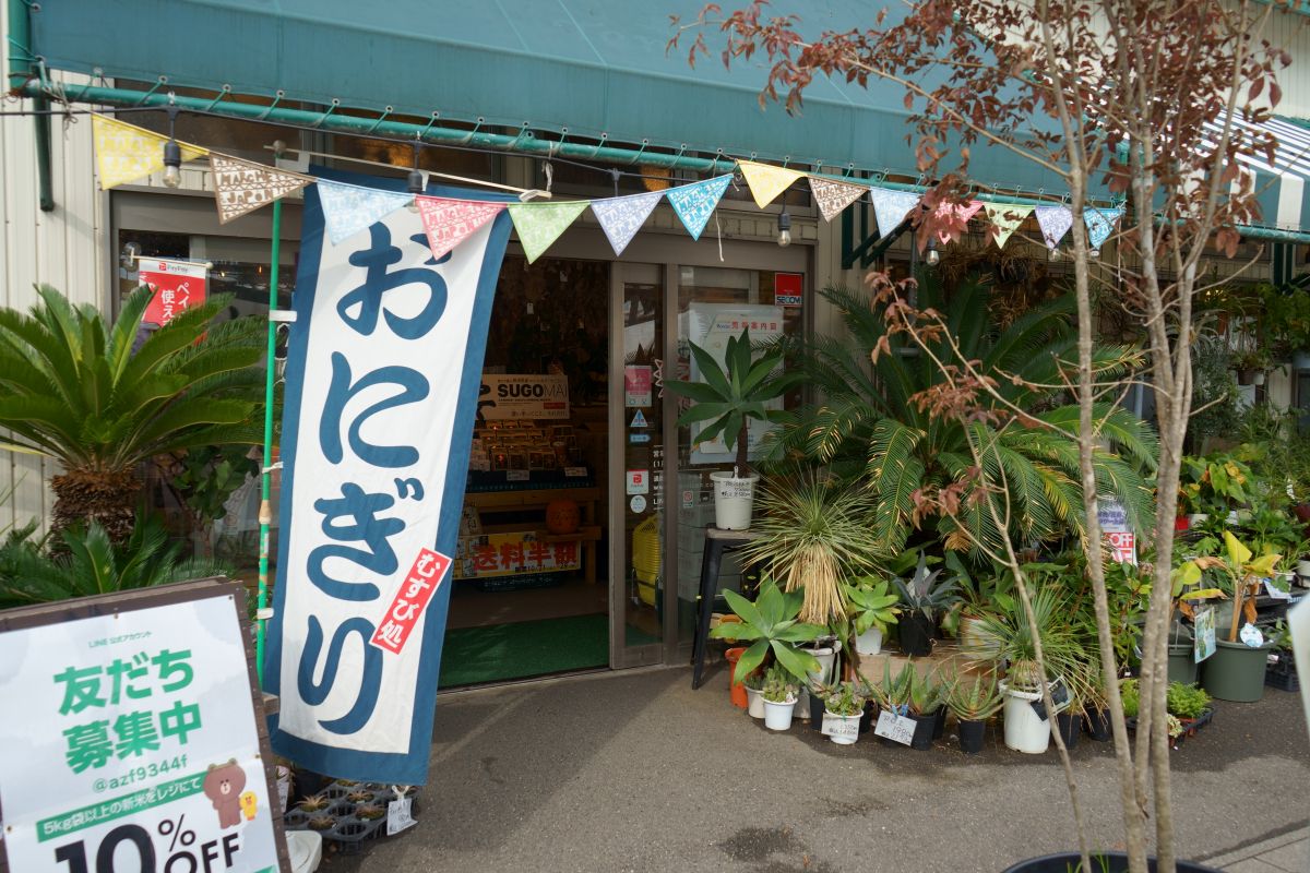 おにぎりまとめ２】新潟市内のおにぎり専門店食べ歩き！｜新潟県観光