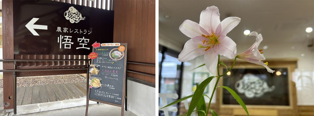 大漢和辞典を編さんした諸橋轍次を訪ねて「諸橋轍次記念館」と 大漢和辞典を編さんした諸橋轍次を訪ねて「諸橋轍次記念館」と