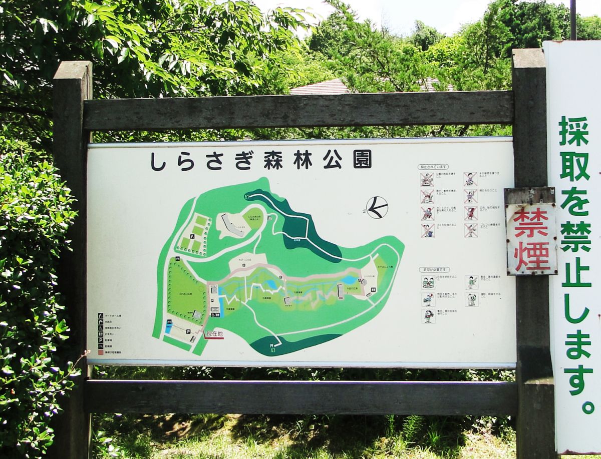 2万株のハナショウブと蛍が舞う しらさぎ森林公園 三条市 新潟県観光協会公式ブログ たびきち 公式 新潟県のおすすめ観光 旅行情報 にいがた観光ナビ