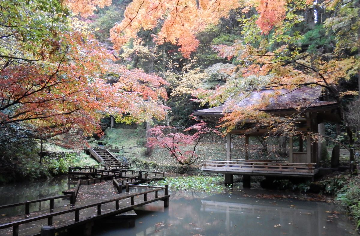 癒しの空間 加茂山公園 加茂市 新潟県観光協会公式ブログ たびきち 公式 新潟県のおすすめ観光 旅行情報 にいがた観光ナビ