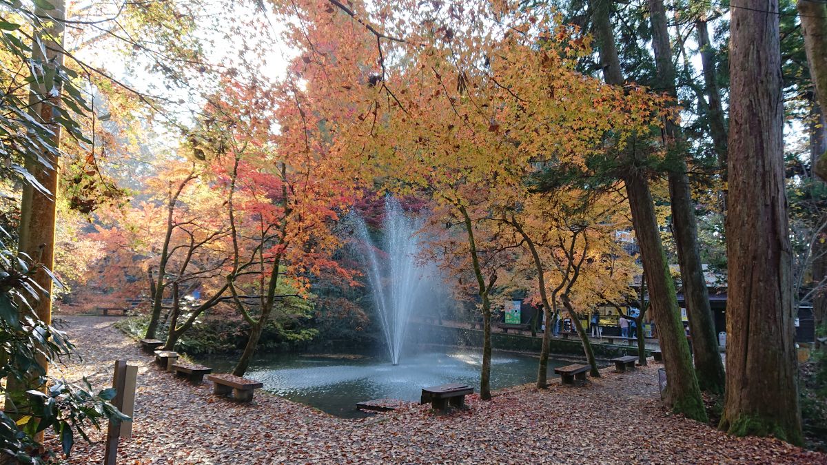 癒しの空間 加茂山公園 加茂市 新潟県観光協会公式ブログ たびきち 公式 新潟県のおすすめ観光 旅行情報 にいがた観光ナビ