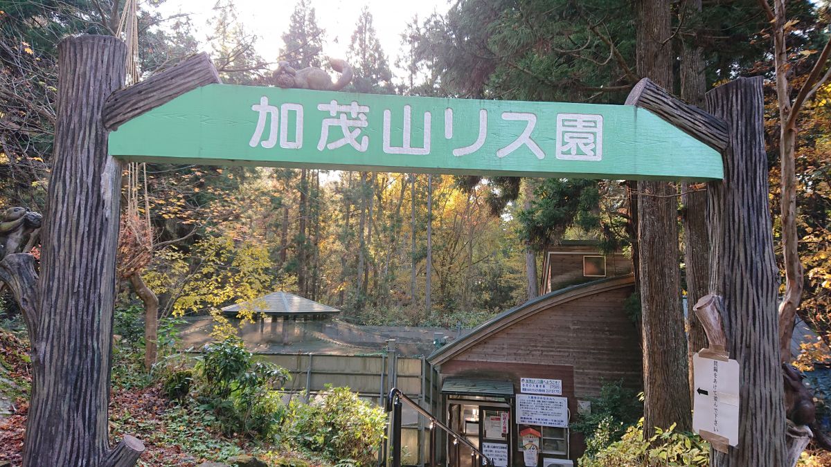 癒しの空間 加茂山公園 加茂市 新潟県観光協会公式ブログ たびきち 公式 新潟県のおすすめ観光 旅行情報 にいがた観光ナビ