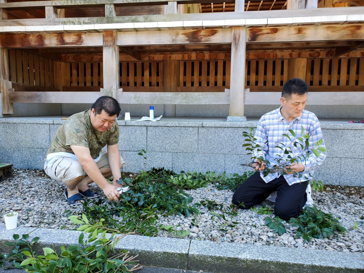 市 コロナ 新発田