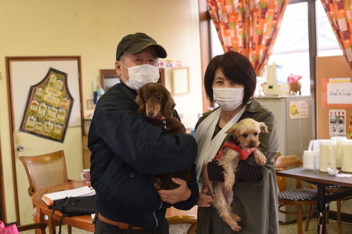 ドッグカフェ 月うさぎ は愛犬家の楽園 看板ワンコたちに癒される 燕市 新潟県観光協会公式ブログ たびきち 公式 新潟県のおすすめ観光 旅行情報 にいがた観光ナビ