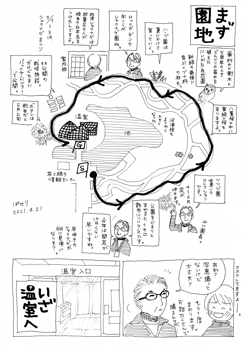 春の花散歩 秋葉区の 新潟県立植物園 へ行ってみよう 新潟市 新潟県観光協会公式ブログ たびきち 公式 新潟県のおすすめ観光 旅行情報 にいがた観光ナビ