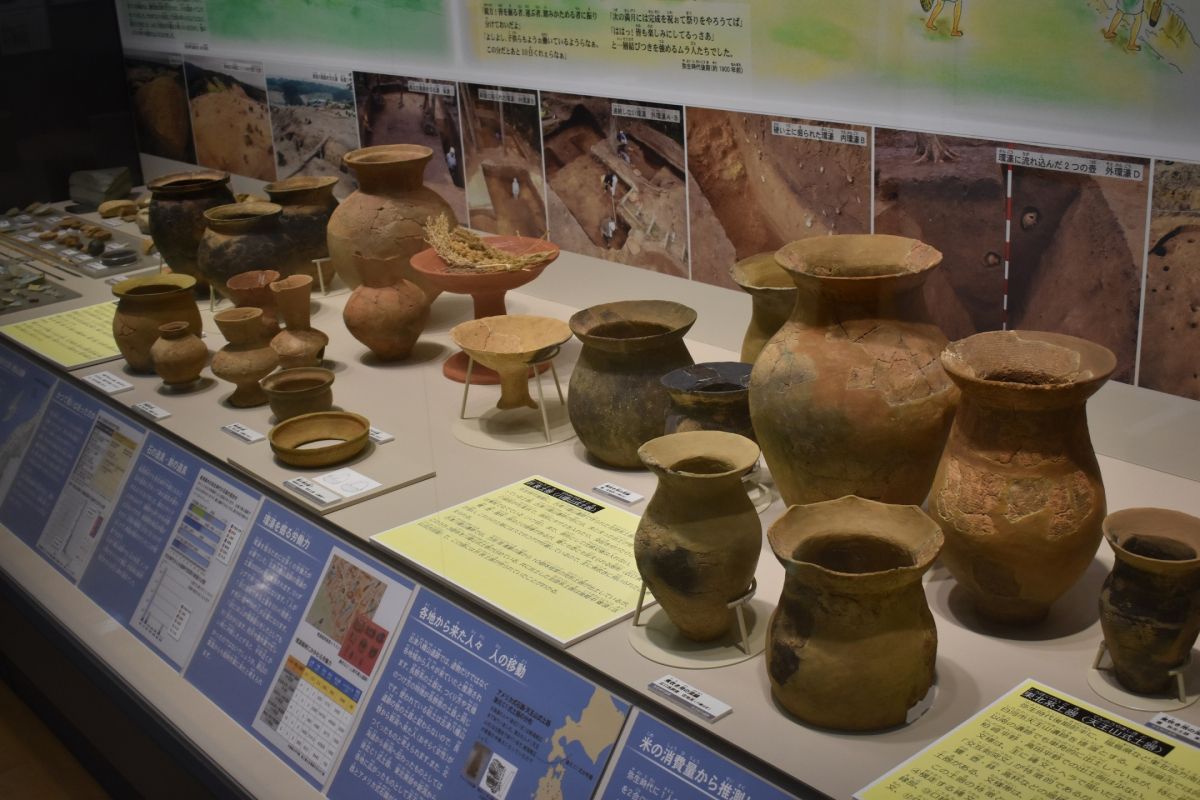 ５月の新津サイクリング 古津八幡山遺跡を中心に史跡 遺跡を巡る 新潟市 新潟県観光協会公式ブログ たびきち 公式 新潟県のおすすめ観光 旅行情報 にいがた観光ナビ