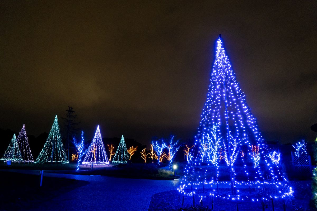 冬のいくとぴあ食花 Growing Illumination 18 Winter に出かけよう 新潟市 新潟県観光協会公式ブログ たびきち 公式 新潟県のおすすめ観光 旅行情報 にいがた観光ナビ