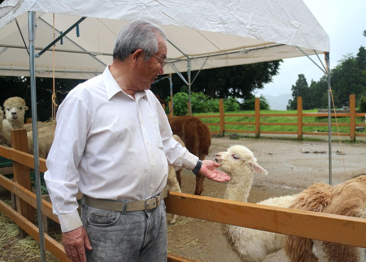 子連れにおすすめ 山古志アルパカ牧場 に家族で行ってきました 長岡市 新潟県観光協会公式ブログ たびきち 公式 新潟県のおすすめ観光 旅行情報 にいがた観光ナビ