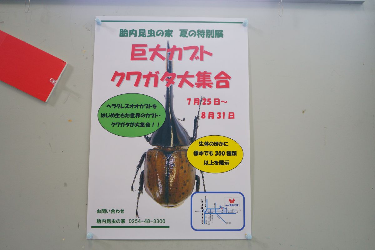 夏はヘラクレスオオカブトも触れる胎内市の昆虫の家に行ってフィッシングパークで魚を釣って食べよう 胎内市 新潟県観光協会公式ブログ たびきち 公式 新潟県のおすすめ観光 旅行情報 にいがた観光ナビ