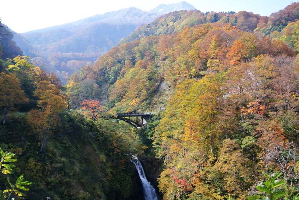 紅葉 ドライブ 紅葉 滝 紅葉 散策 紅葉 温泉 ぜ んぶ楽しめる素敵な紅葉スポット 妙高市 新潟県観光協会公式ブログ たびきち 公式 新潟県のおすすめ観光 旅行情報 にいがた観光ナビ