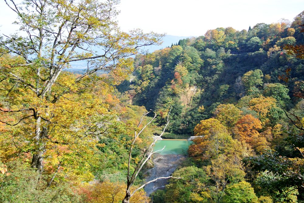 紅葉 ドライブ 紅葉 滝 紅葉 散策 紅葉 温泉 ぜ んぶ楽しめる素敵な紅葉スポット 妙高市 新潟県観光協会公式ブログ たびきち 公式 新潟県のおすすめ観光 旅行情報 にいがた観光ナビ