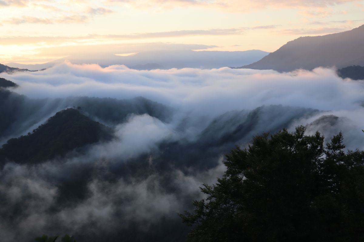 一生に一度は見たい新潟の絶景 枝折峠 滝雲 を1 楽しむために知っておきたい５つのこと 魚沼市 新潟県観光協会公式ブログ たびきち 公式 新潟県のおすすめ観光 旅行情報 にいがた観光ナビ