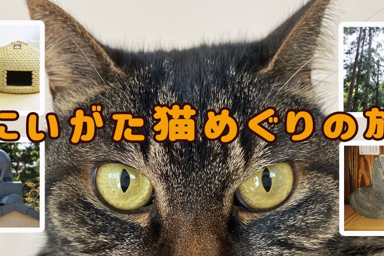 猫好き必見！にいがた猫めぐりの旅 -新潟県のおすすめねこスポット-