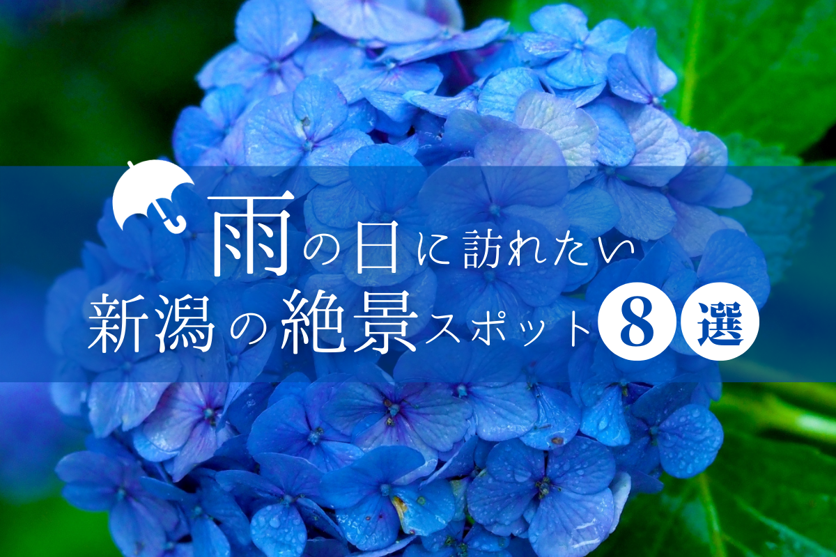 雨の日に訪れたい絶景スポット８選