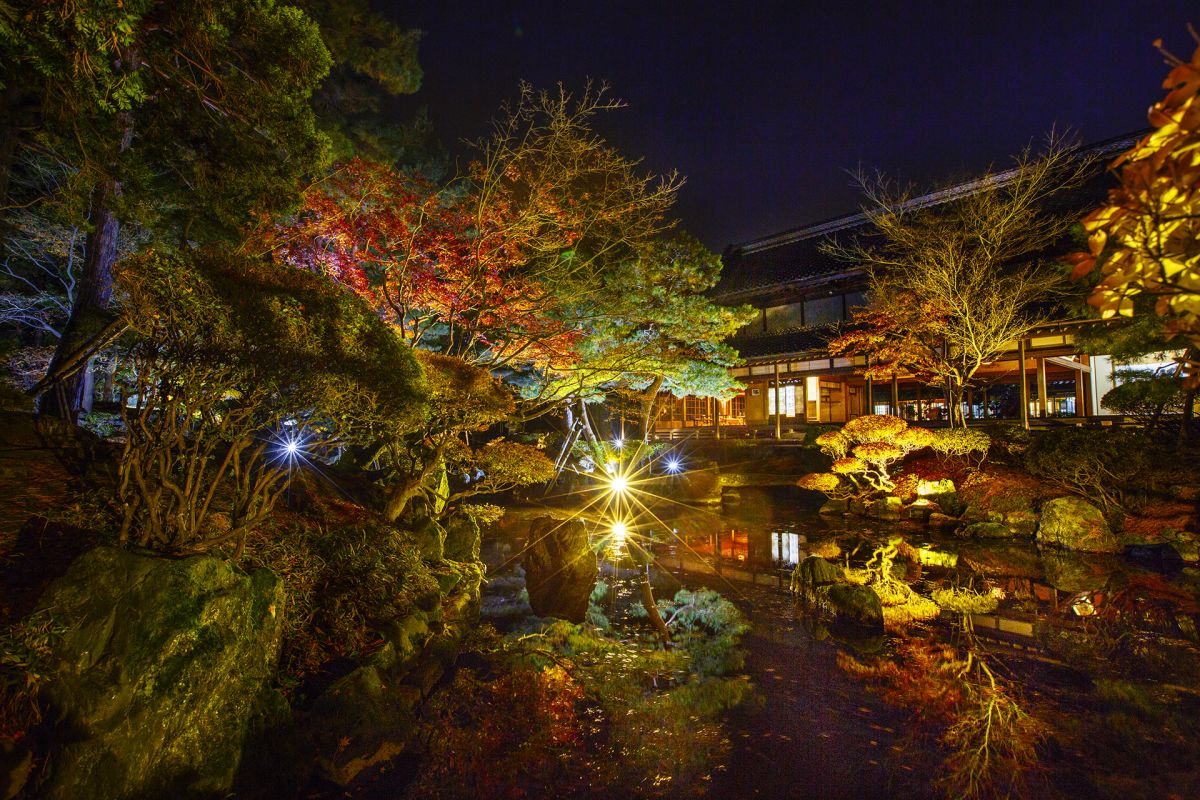新潟の紅葉ライトアップ絶景スポット6選！2025年見頃時期まとめ