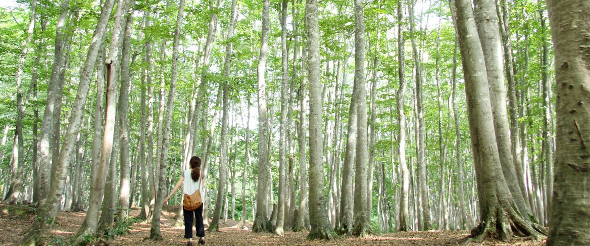 思わず歓喜 一度は見てみたい新潟の絶景10選 旅の特集 公式 新潟県のおすすめ観光 旅行情報 にいがた観光ナビ