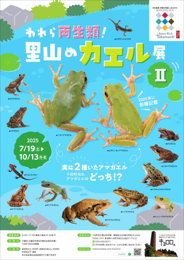  夏季企画展「われら両生類！里山のカエル展Ⅱ」