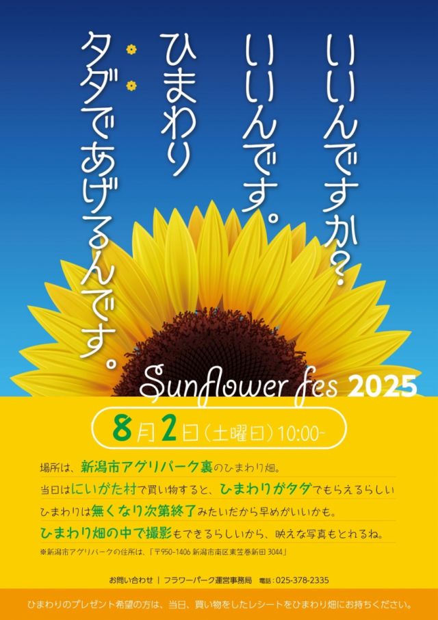 Sunflower Fes 2025