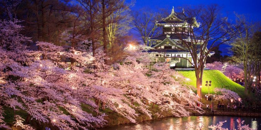 一度は行きたい 新潟の桜の名所6選 旅の特集 公式 新潟県のおすすめ観光 旅行情報 にいがた観光ナビ