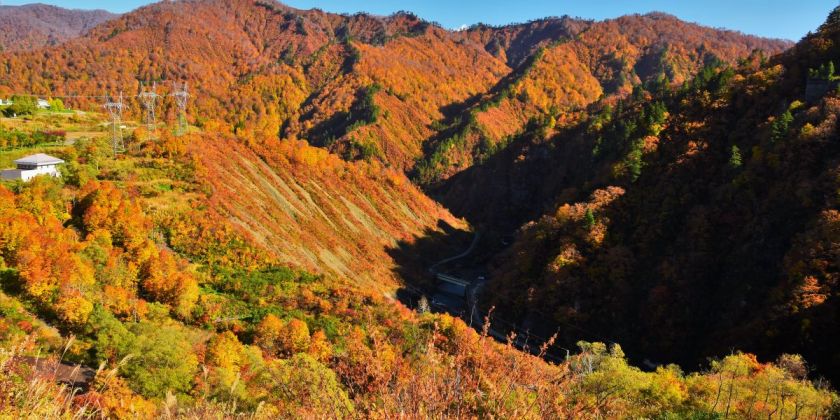 編集部がガチで厳選 行ってよかった紅葉スポット5選 旅の特集 公式 新潟県のおすすめ観光 旅行情報 にいがた観光ナビ