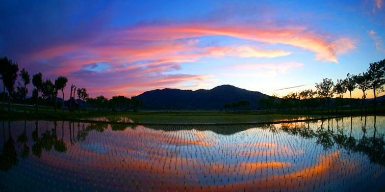 思わず歓喜 一度は見てみたい新潟の絶景10選 旅の特集 公式 新潟県のおすすめ観光 旅行情報 にいがた観光ナビ