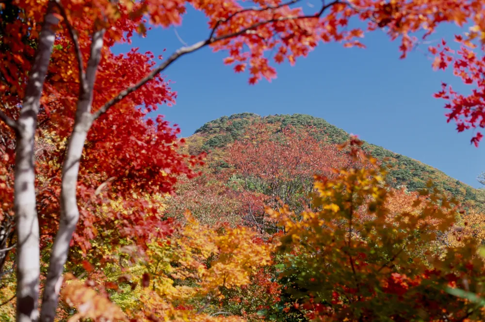 紅葉山