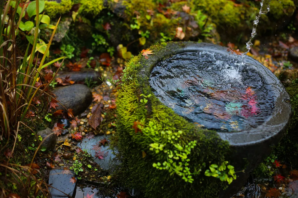 嵐渓荘