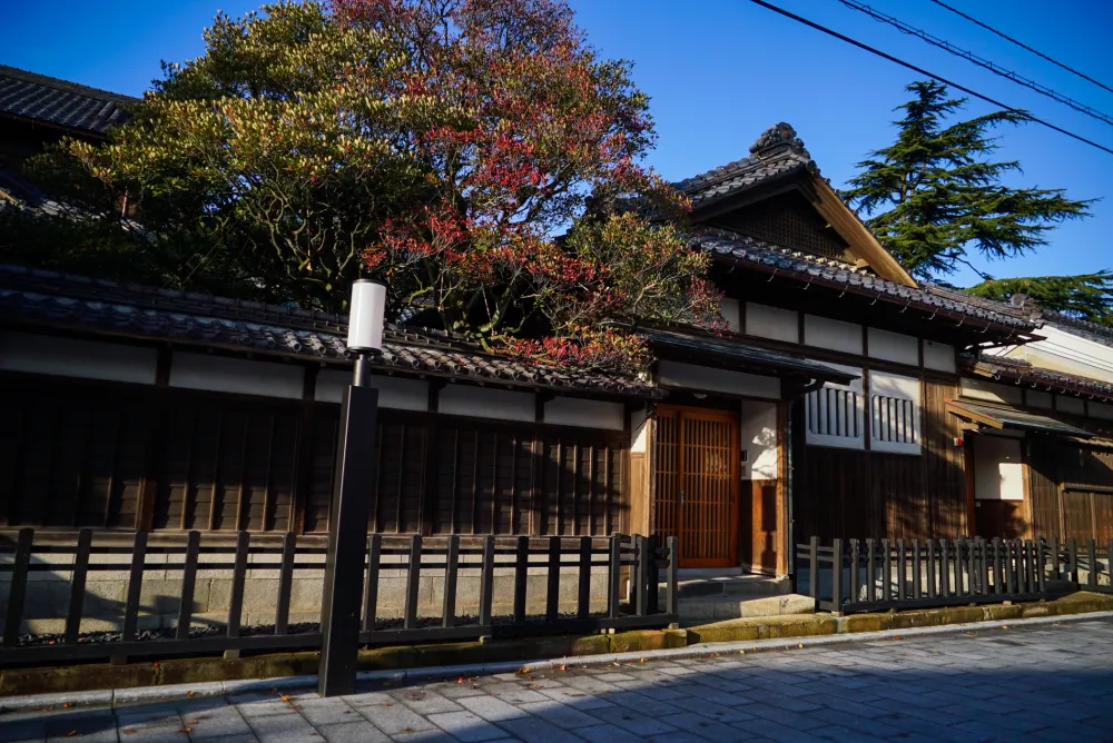 古町芸妓