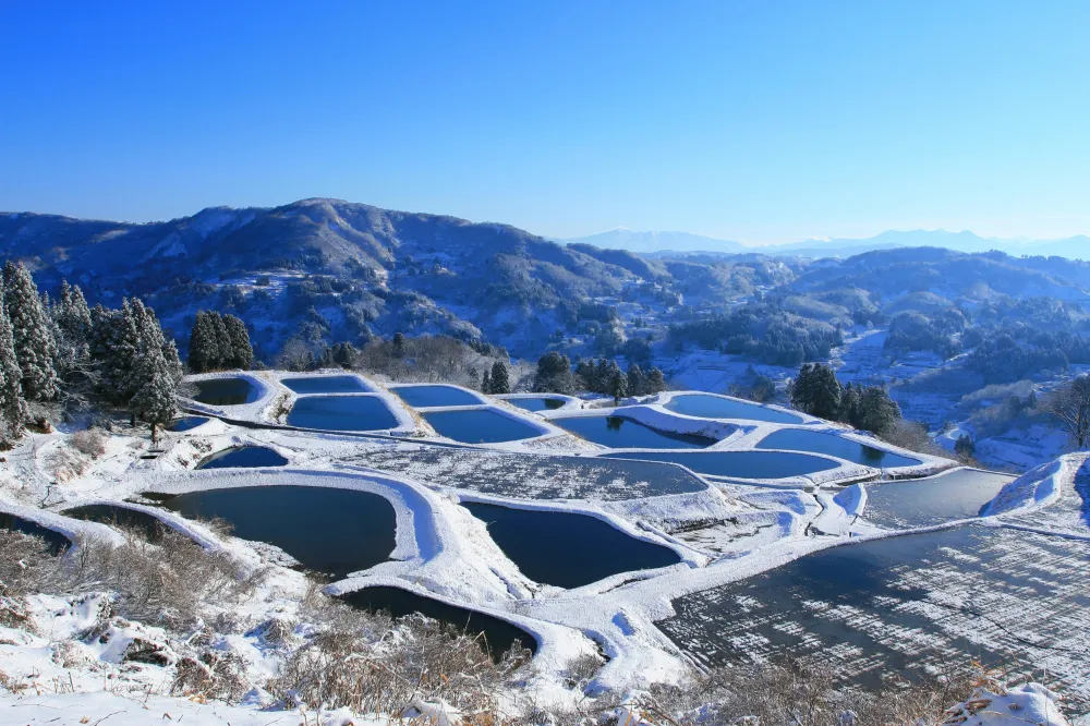 雪化粧