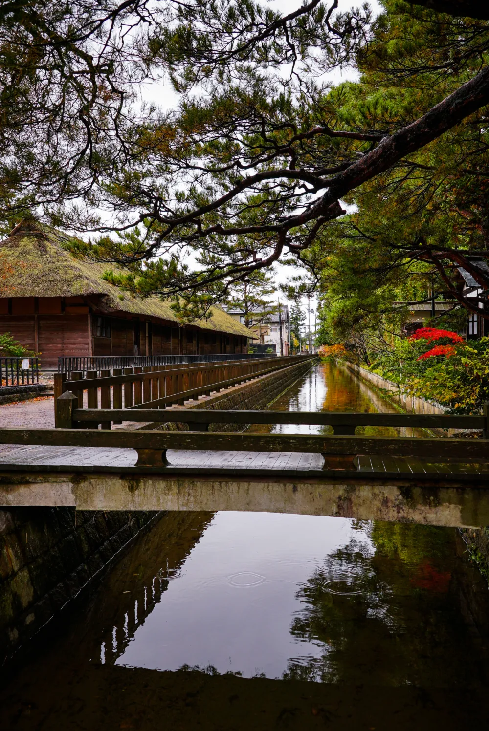 清水園