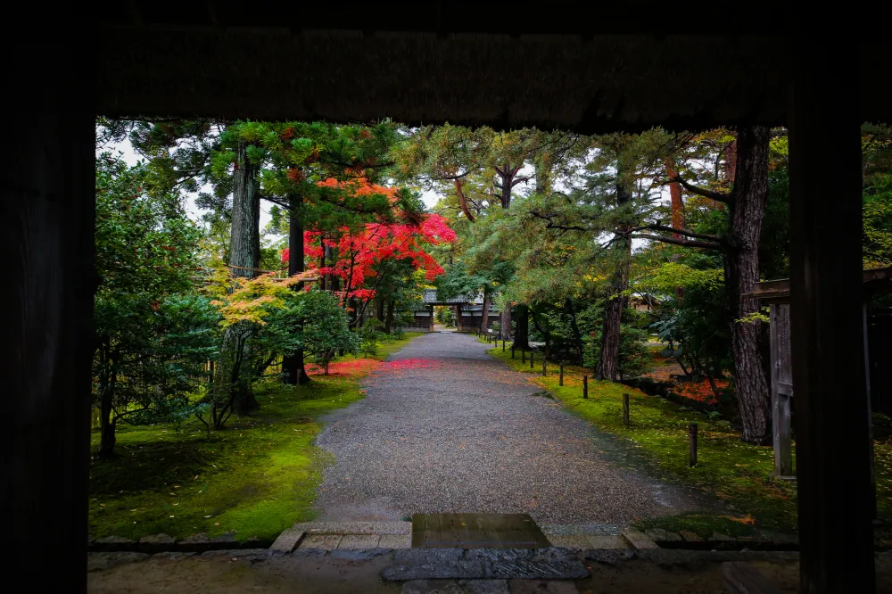 清水園