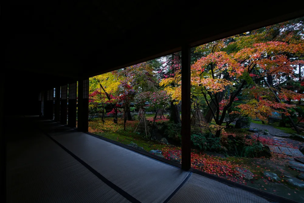 清水園