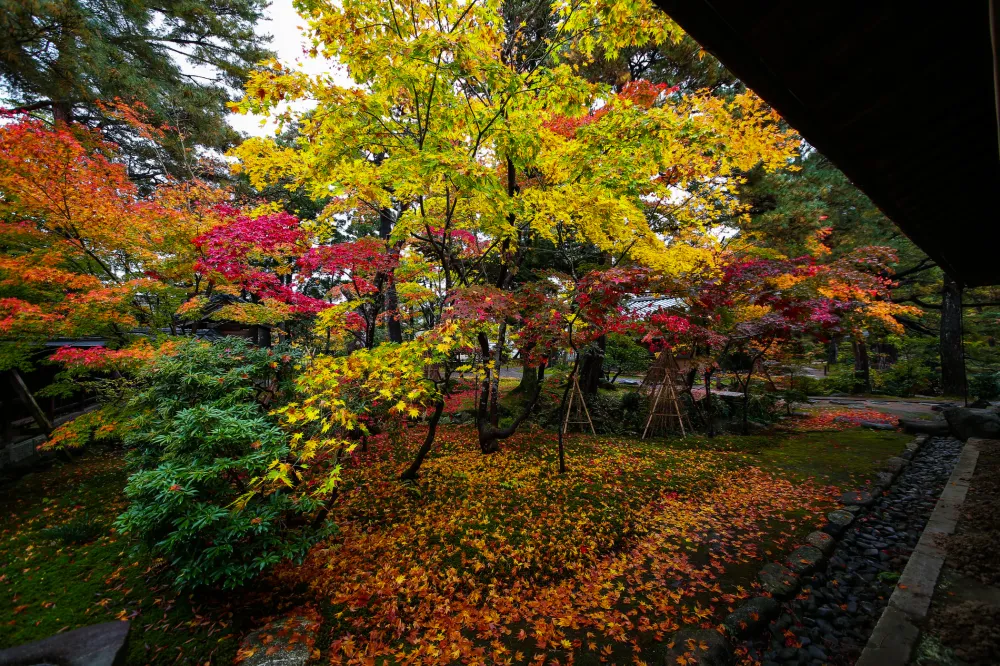 清水園