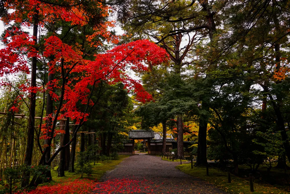 清水園