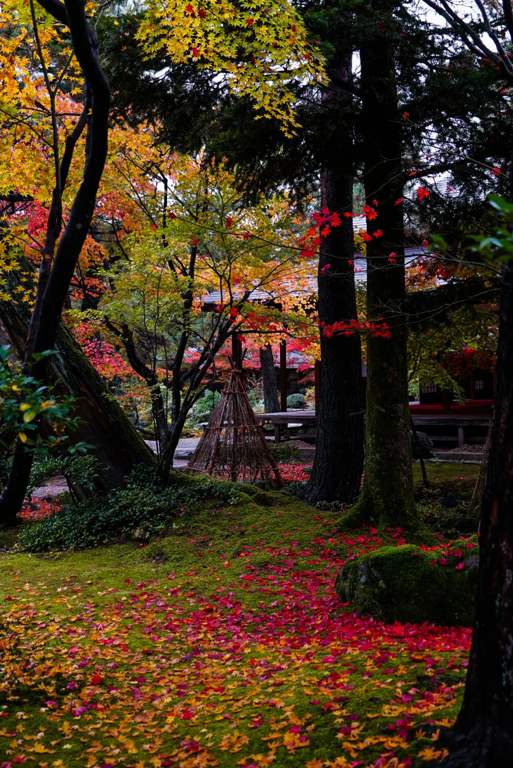 清水園