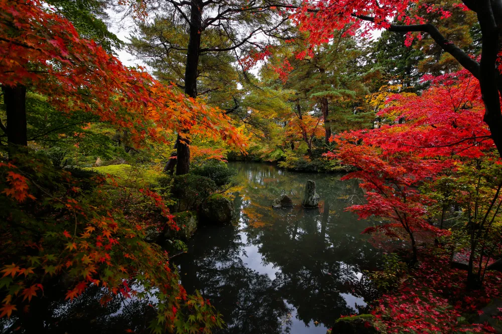 清水園