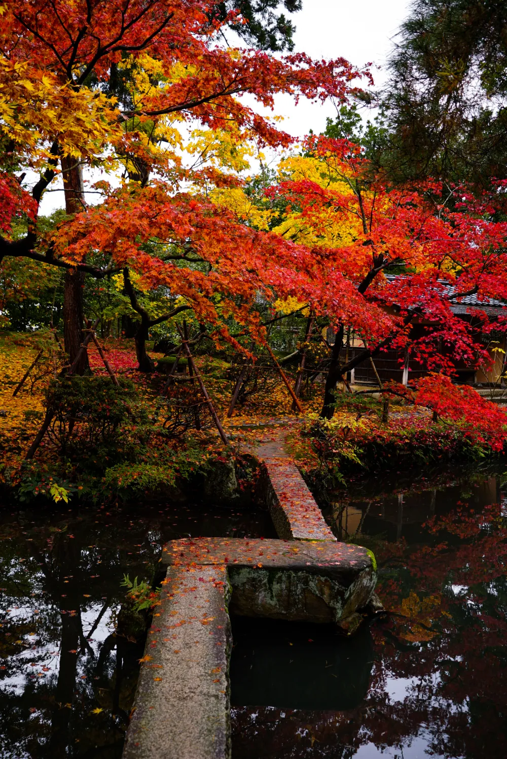 清水園